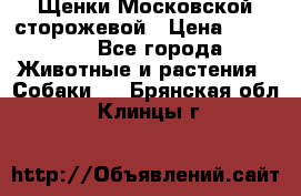 Щенки Московской сторожевой › Цена ­ 35 000 - Все города Животные и растения » Собаки   . Брянская обл.,Клинцы г.